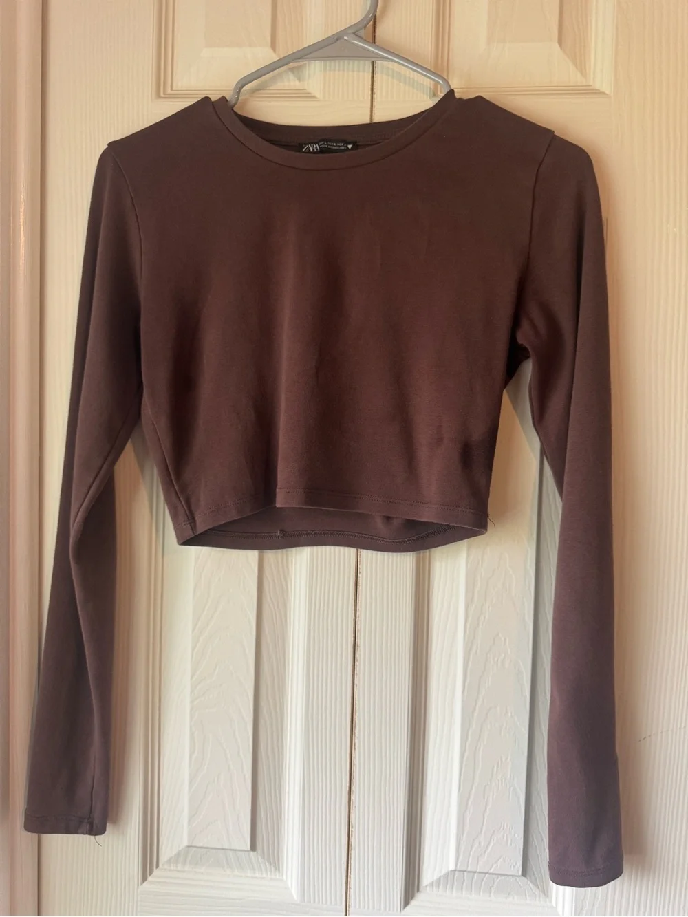 Zara Cropped Long-Sleeve Tee in Mauve Brown